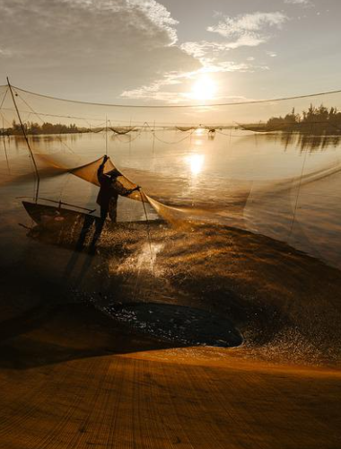 万博manbext体育官网(中国)官方网站登录入口