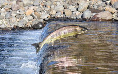 万博manbext体育官网(中国)官方网站登录入口