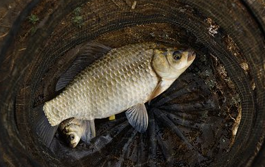 万博manbext体育官网(中国)官方网站登录入口