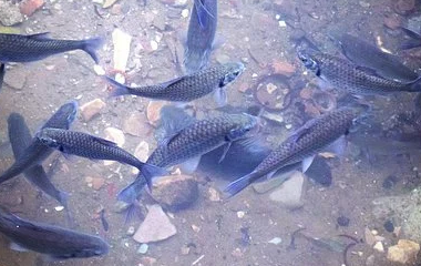 万博manbext体育官网(中国)官方网站登录入口