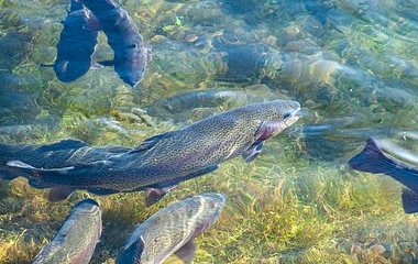 万博manbext体育官网(中国)官方网站登录入口