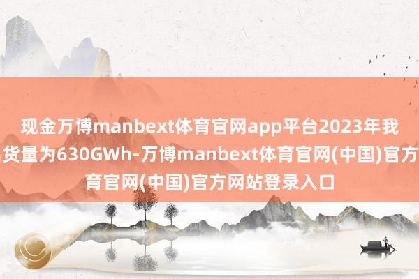 现金万博manbext体育官网app平台2023年我国能源电板出货量为630GWh-万博manbext体育官网(中国)官方网站登录入口