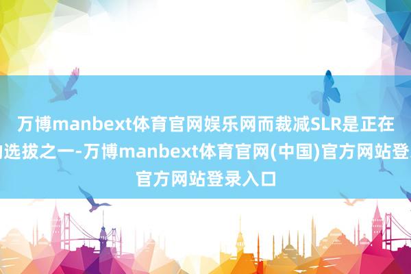 万博manbext体育官网娱乐网而裁减SLR是正在议论的选拔之一-万博manbext体育官网(中国)官方网站登录入口