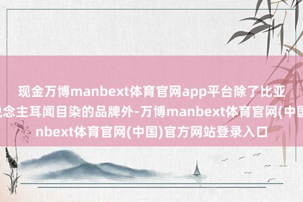 现金万博manbext体育官网app平台除了比亚迪和长城等巴西东说念主耳闻目染的品牌外-万博manbext体育官网(中国)官方网站登录入口