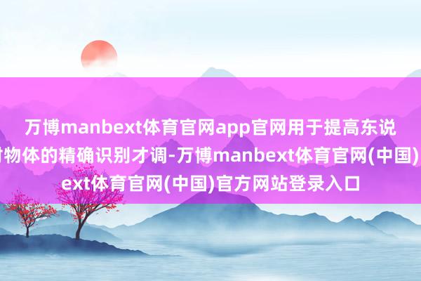 万博manbext体育官网app官网用于提高东说念主工智能系统对物体的精确识别才调-万博manbext体育官网(中国)官方网站登录入口