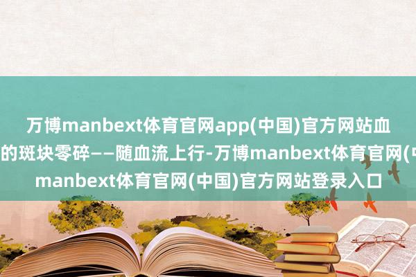 万博manbext体育官网app(中国)官方网站血流冲击力足以让不稳固的斑块零碎——随血流上行-万博manbext体育官网(中国)官方网站登录入口